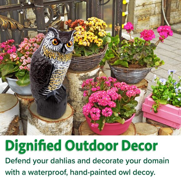 Lifelike Owl Decoy Rotating Head Outdoor Garden Repellent Bird Scare Repellence - Picture 6 of 6
